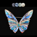 mother of pearl,nacre shell brooch＆Butterfly brooch on black