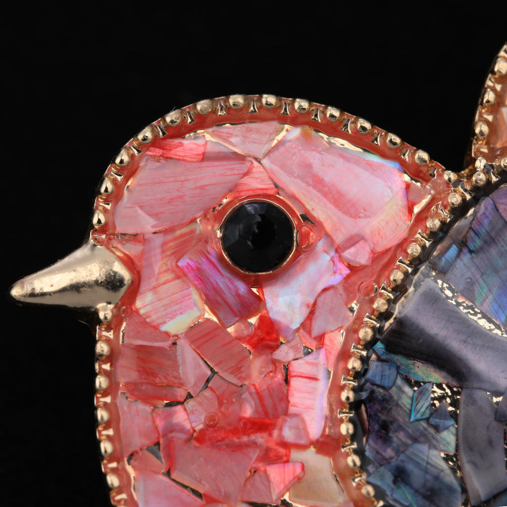 Close up of mother of pearl,nacre shell brooch＆bird brooch on black