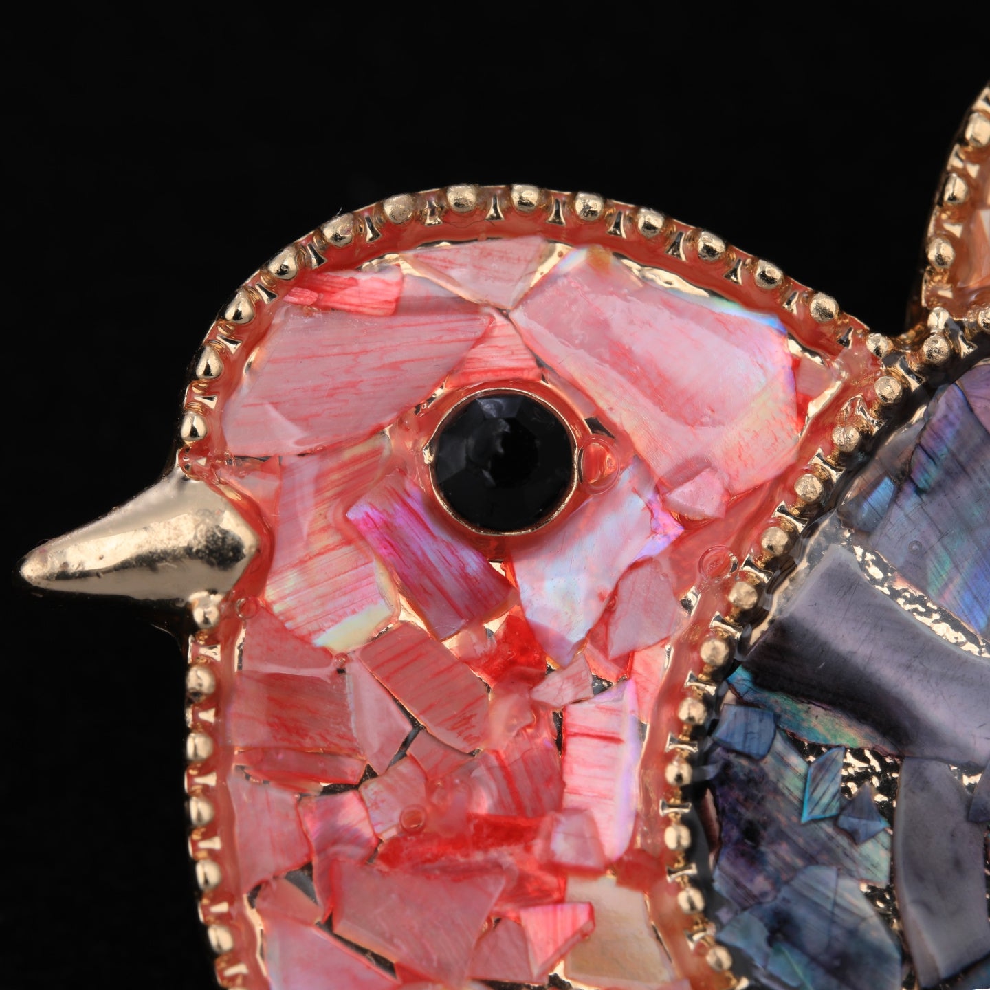 Close up of mother of pearl,nacre shell brooch＆bird brooch on black