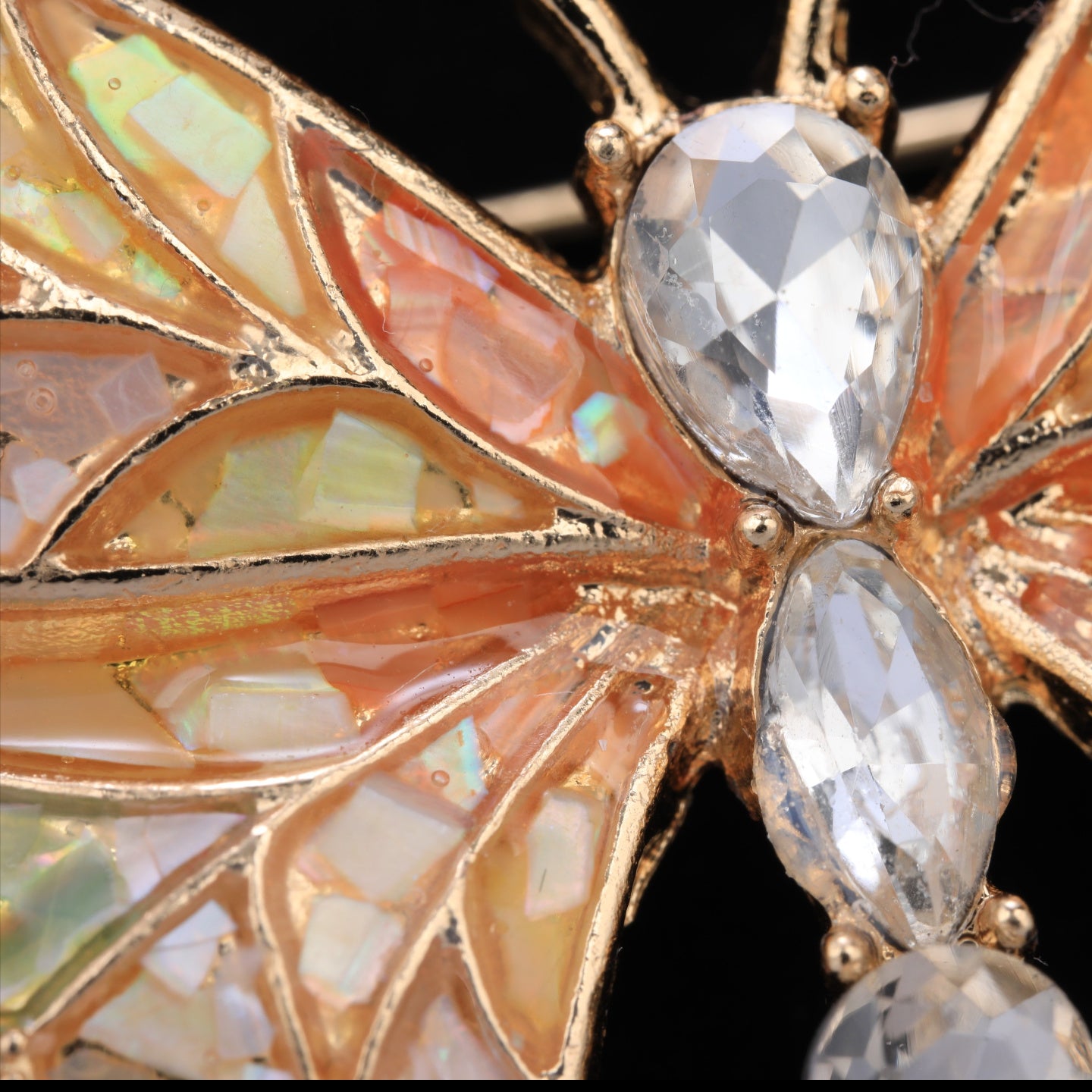 Close up of mother of pearl,nacre shell brooch＆Butterfly brooch on black
